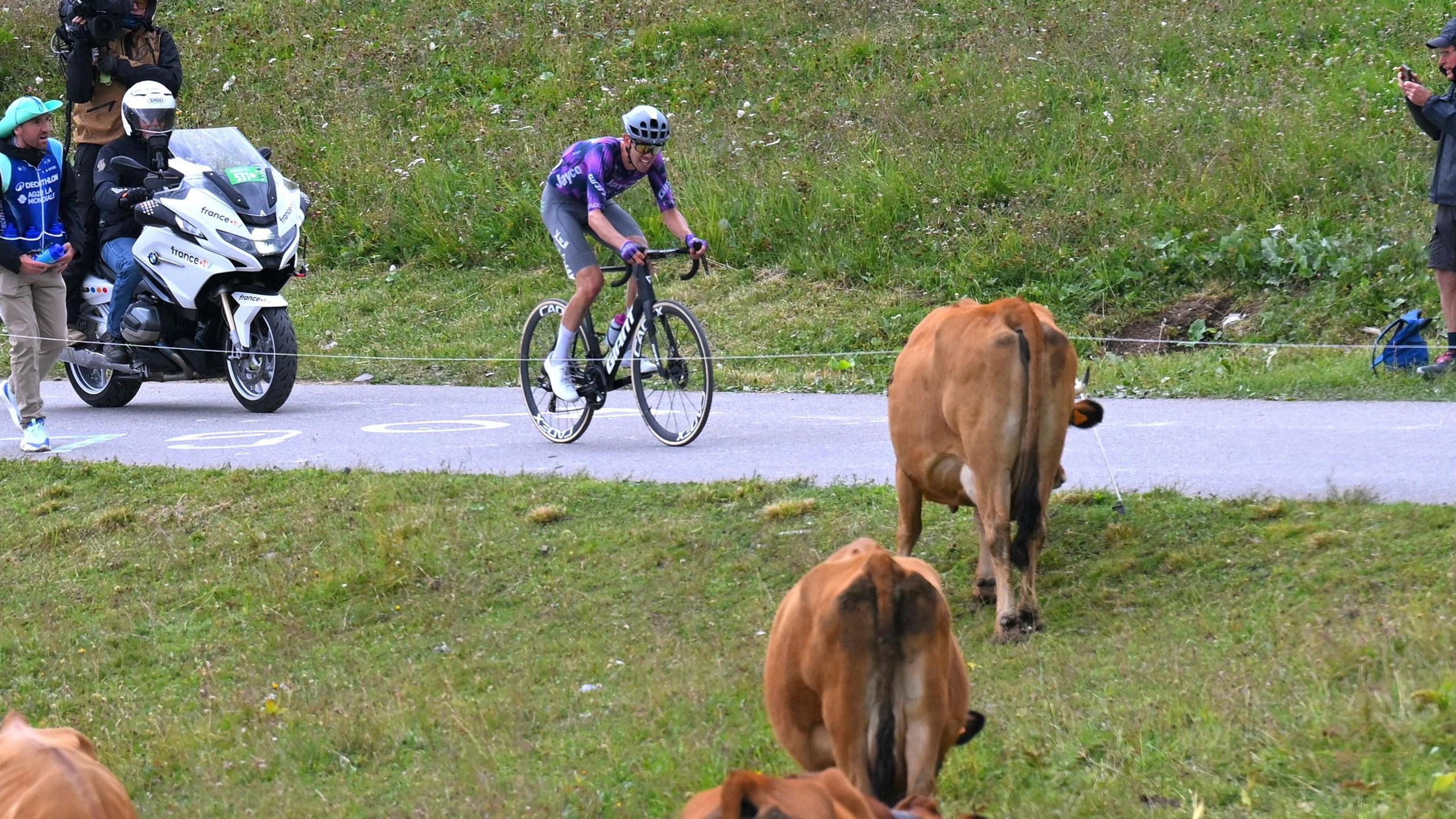 Tour de France route changed because of diseased cows