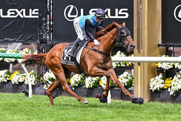Half Yours wins Melbourne Cup